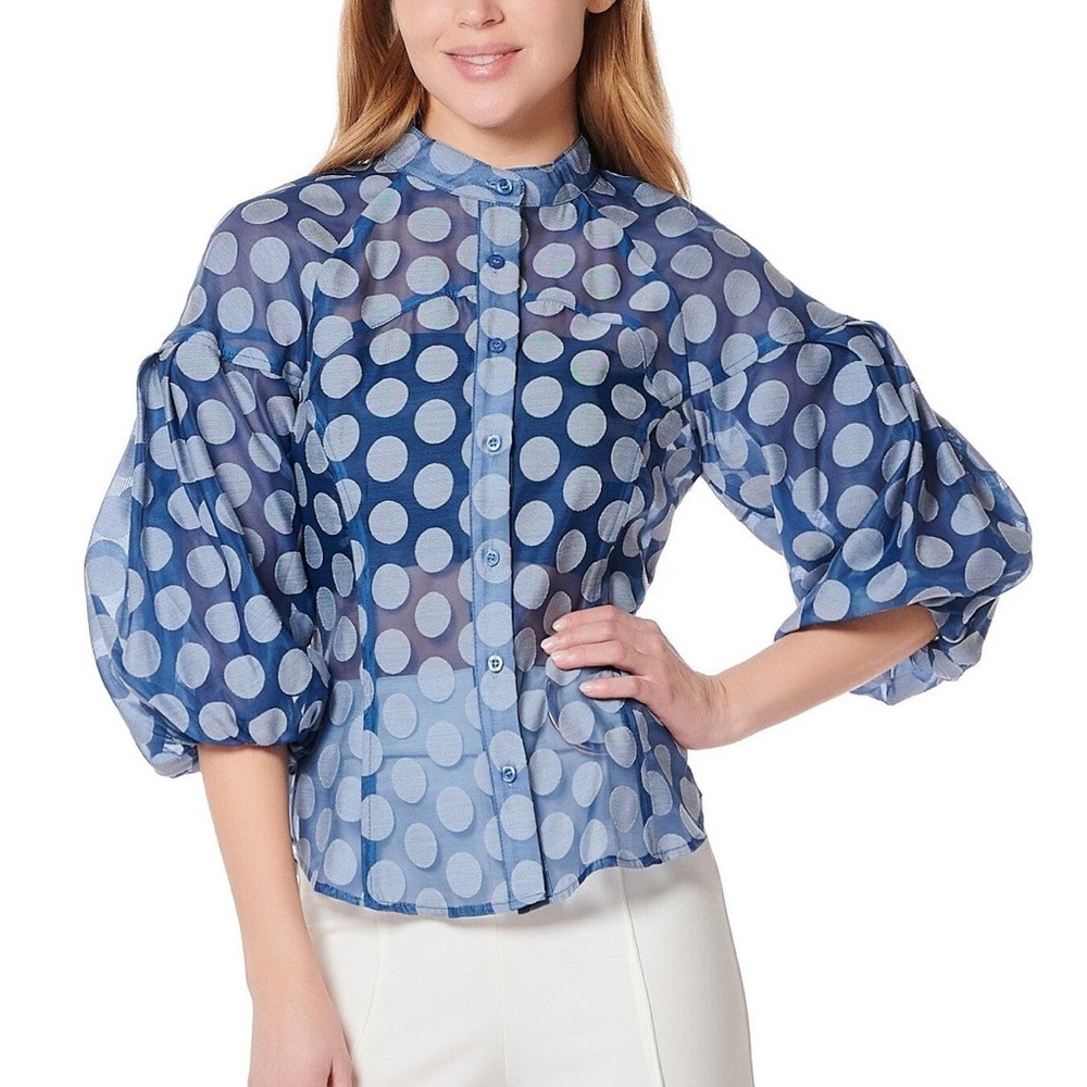 Gracia Women Sheer Polka Dot Paneled Button Up with Puff Sleeve Blouse | Blue |